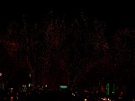 DSC07286.jpg