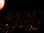 DSC07287.jpg
