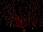 DSC07288.jpg