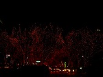 DSC07289.jpg