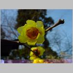 DSC07329.jpg
