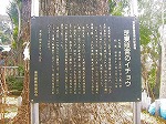 RIM00046.jpg