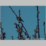 20070227hby01.jpg