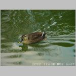 20070227hby04.jpg