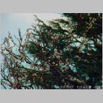 20070227hby07.jpg