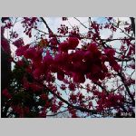 20070227hby08.jpg