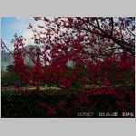 20070227hby10.jpg