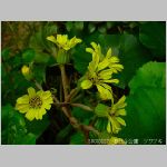20070227hby11.jpg