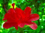 20070406R004.jpg