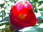 20070406R010.jpg