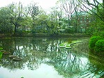 20070406R082.jpg