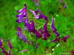 20070406R088.jpg