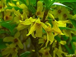 20070406R113.jpg