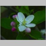20070414amn02.jpg