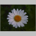 20070414amn08.jpg