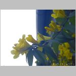20070414amn09.jpg