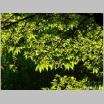 20070430unt10.jpg