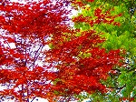 20070502h01.jpg