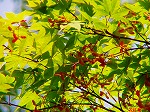 20070502h02.jpg