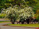 20070502h03.jpg