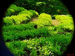 20070502h04.jpg