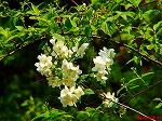 20070502h05.jpg