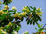 20070502h06.jpg