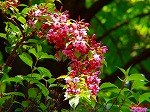 20070502h07.jpg