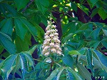 20070502h09.jpg