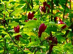 20070502h11.jpg
