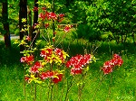 20070502h13.jpg