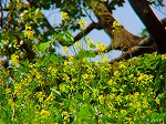 20070502h19.jpg