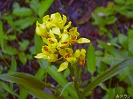 20070504H02.jpg