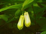 20070504H04.jpg