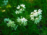 20070504H07.jpg