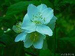 20070504H08.jpg