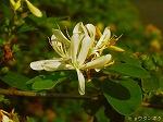 20070504H09.jpg