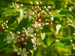 20070504H13.jpg