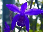 20070504H16.jpg
