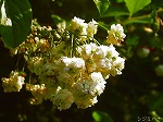 20070504H18.jpg