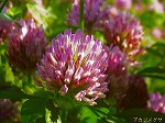 20070504H19.jpg