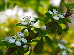 20070504H20.jpg