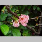 20070507T04.jpg