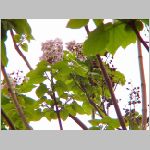 20070507T06.jpg