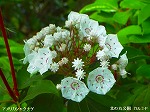20070514k01.jpg