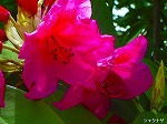 20070514k02.jpg