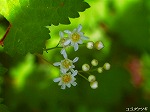 20070514k03.jpg