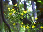 20070514k05.jpg