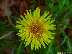 20070514k06.jpg