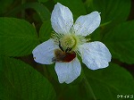 20070514k08.jpg